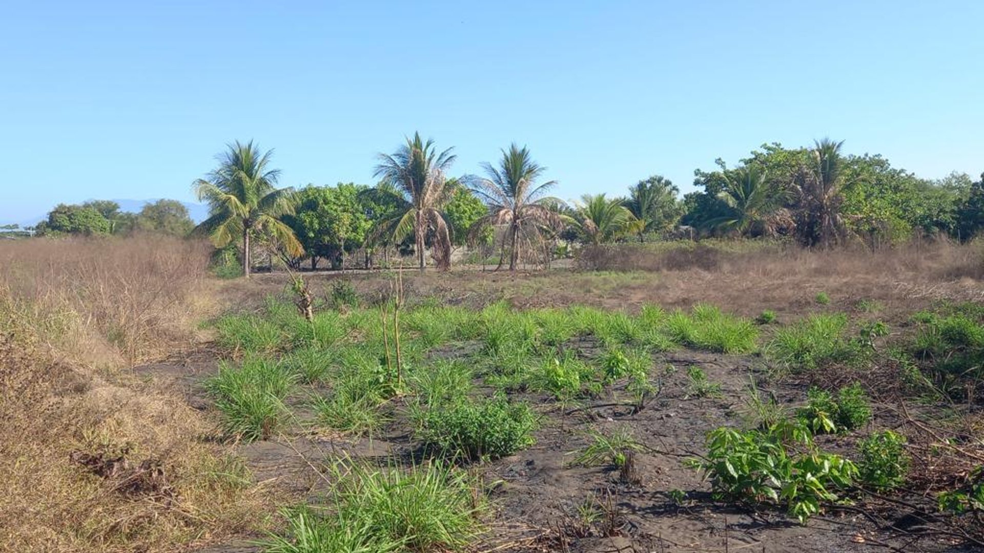 Terreno en venta camino a Monterrico - Miniatura 4