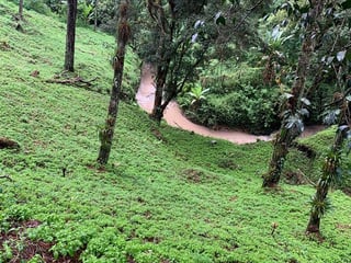 Terreno en Venta Km. 14.5 Carretera a El Salvador San Jorge Muxbal - 4