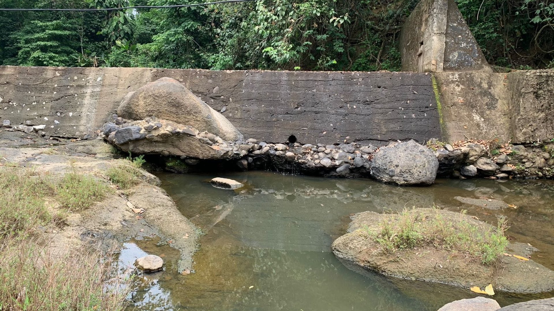 Cinco caballerías en San Juan Bautista, Suchitepequez  - Image 1
