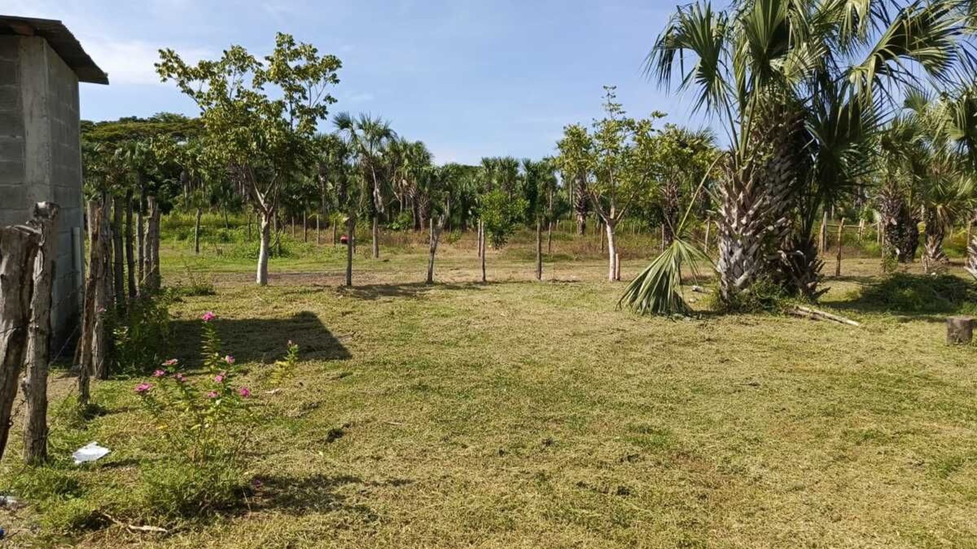 GANGA TERRENO EN VENTA – ALDEA EL CEBOLLITO, HAWÁI CHIQUIMULA - Miniatura 6