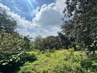 TERRENO EN VENTA EN SAN LUCAS - Image 4