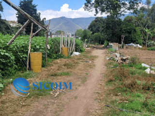 Finca for Sale in Antigua Guatemala - Image 7