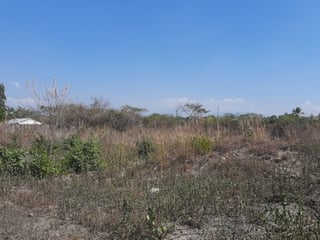 Terreno en Venta en Torre Molinos, Escuintla - 5