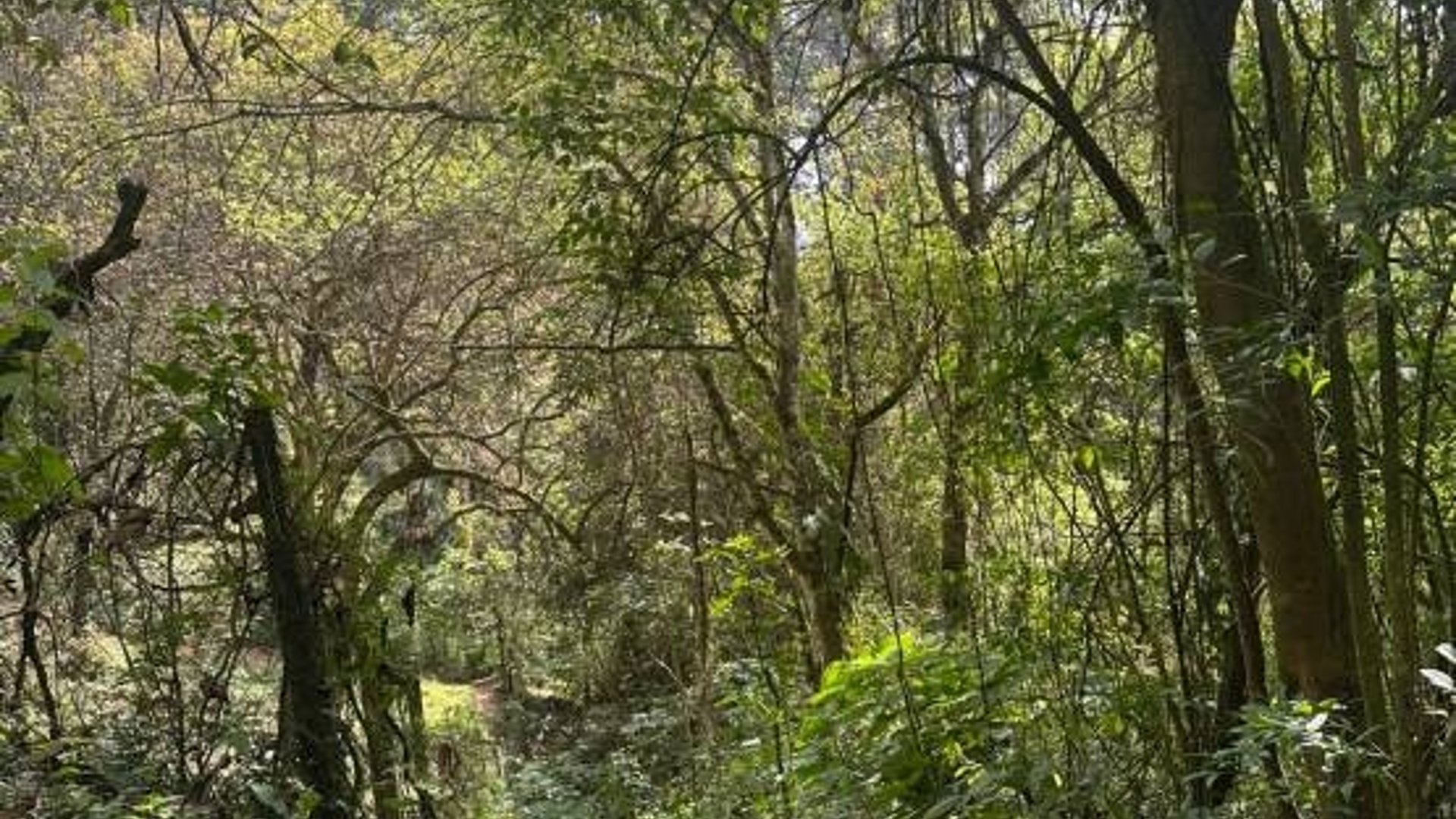 Terreno en Venta, Mixco (V9991) - Miniatura 4