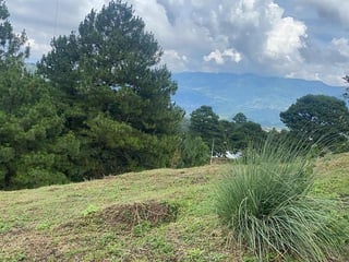 El Pulté Ecuestre/ 2 Terrenos en Venta , zona 16 - 4