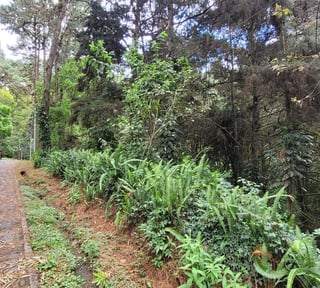Terreno en condominio residencial CAES