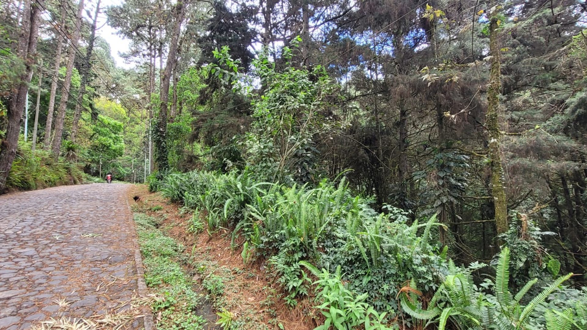 Terreno en condominio residencial CAES