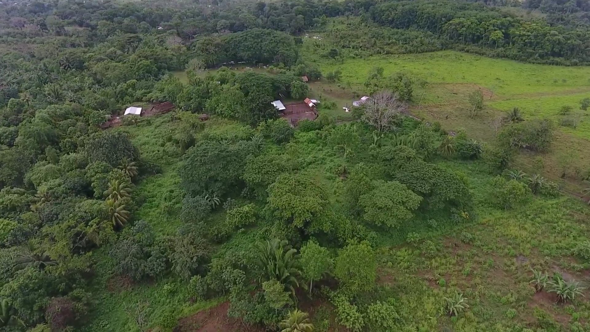 FINCA EN VENTA EN ALTA VERAPAZ - Miniatura 16