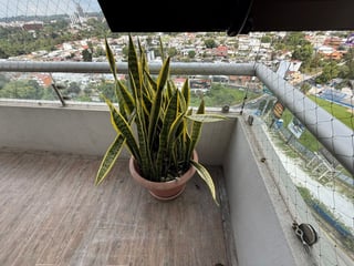 En Alquiler Apartamento 1 habitacion Amueblado Zona 15 - 5