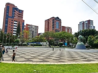 Local exclusivo en zona 14 en Renta - 4