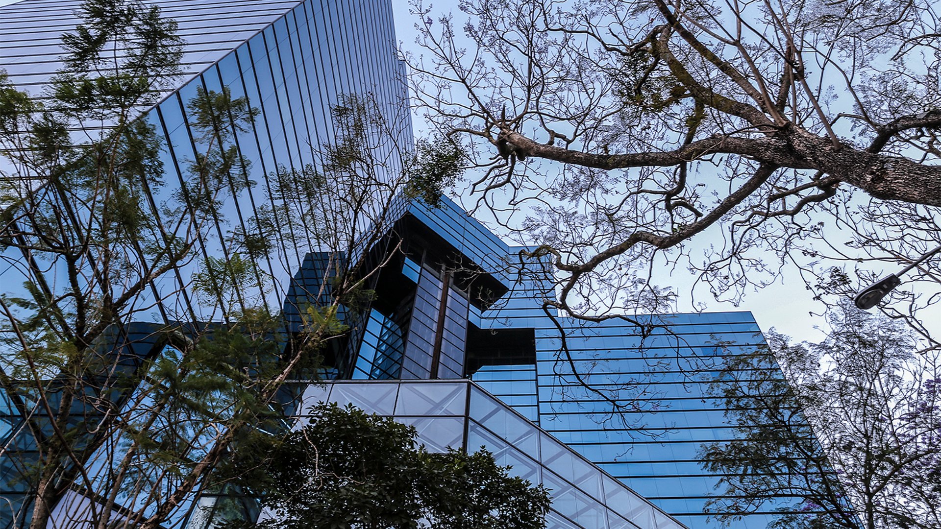 ???? OFICINA EN RENTA – 254.21 M² | EDIFICIO  ATLANTIS | ZONA 10 - Miniatura 2