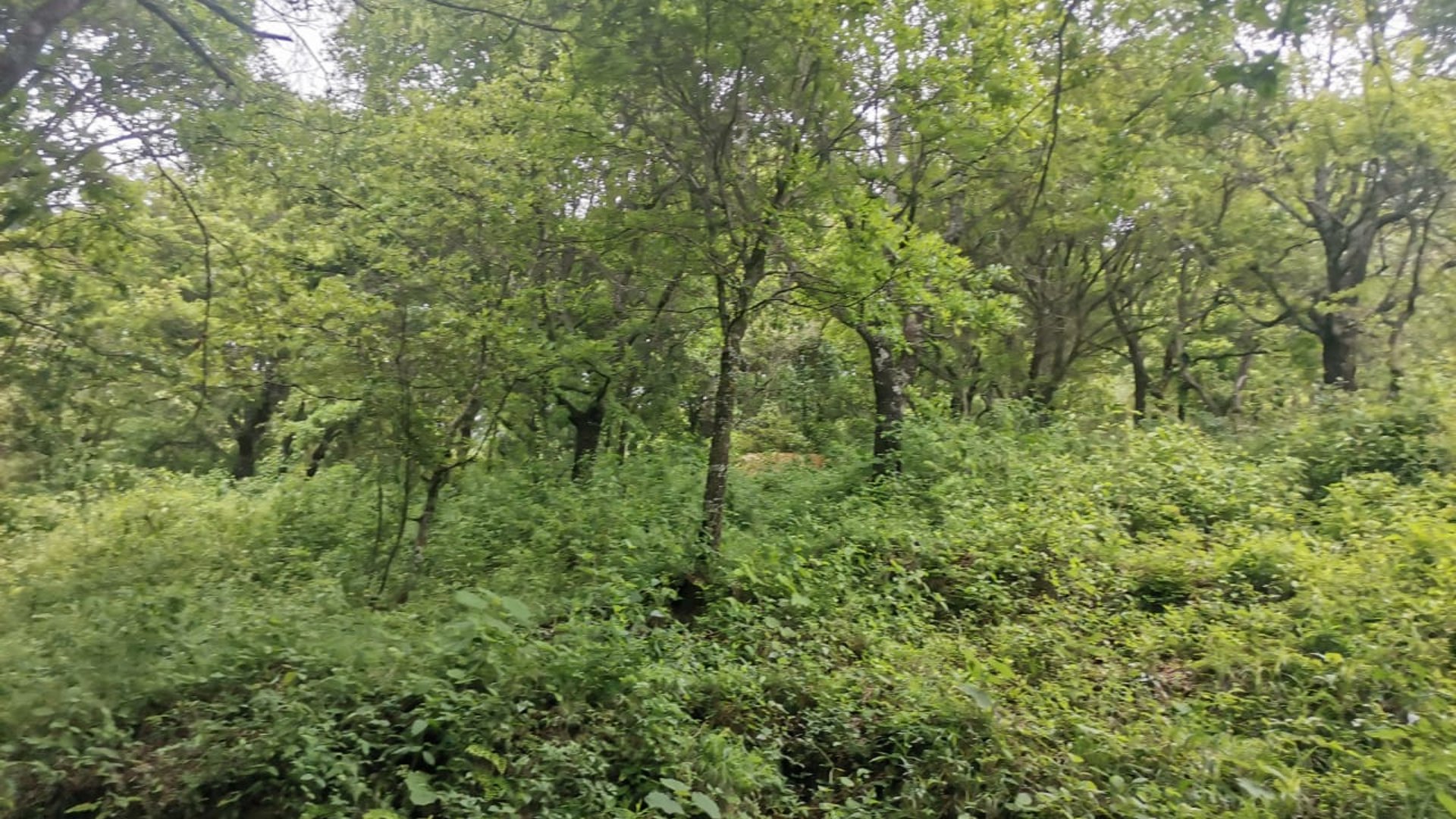 TERRENO EN VENTA EN KM 21.5 EN MIXCO