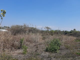Terreno en Venta en Torre Molinos, Escuintla - 3
