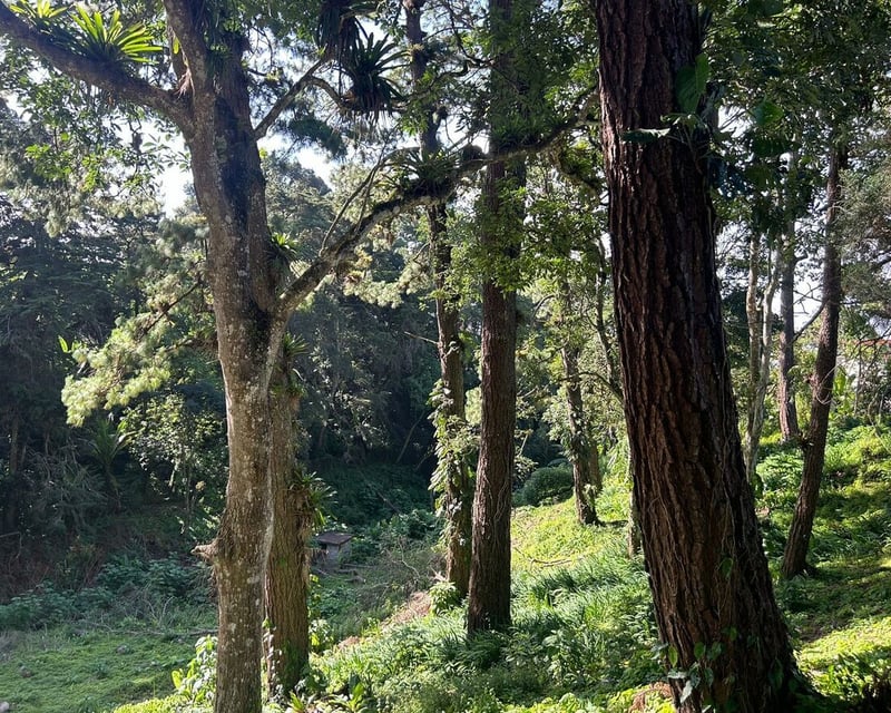 Terreno a la venta Santa Rosalía, km 12.5 CAES