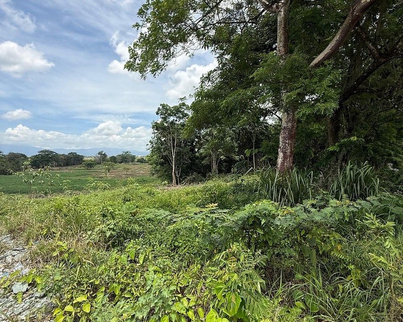 Terreno en Venta – Km 240 CA-9, Ruta al Atlántico, Morales, Izabal