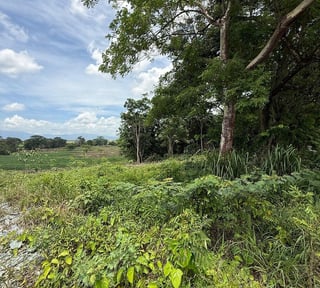 Terreno en Venta – Km 240 CA-9, Ruta al Atlántico, Morales, Izabal
