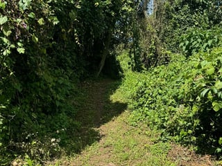 Terreno en venta zona 16, área de vistas de san Isidro - 4