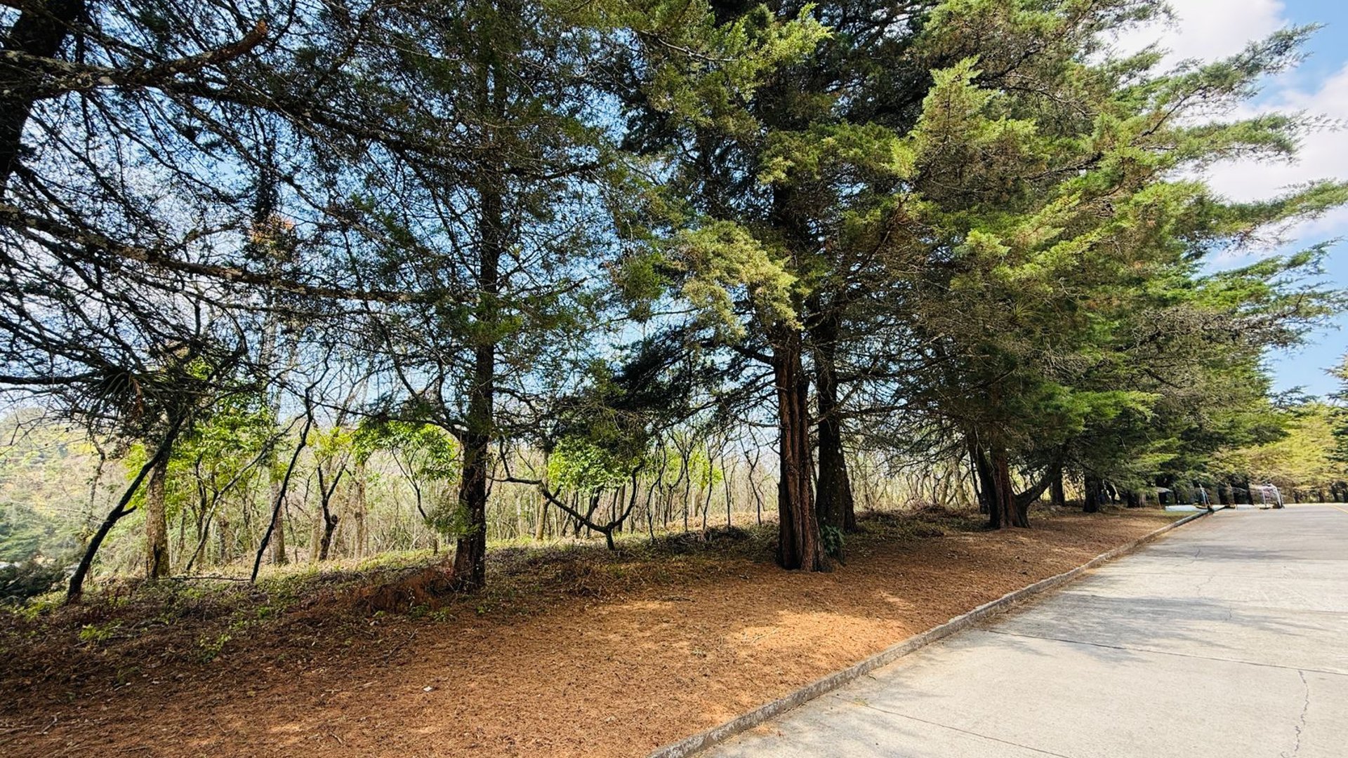 VENTA DE AMPLIOS TERRENOS - CASA & CAMPO, KM 23.5 CES