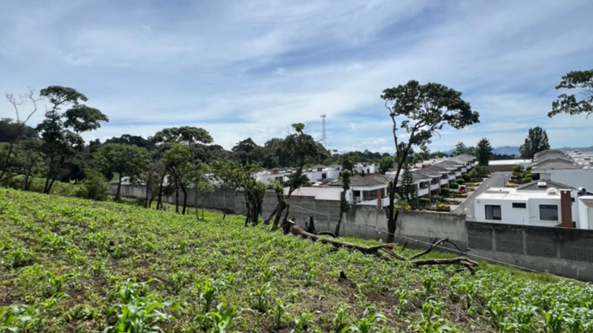 Terreno 12 Manzanas en Venta Carretera a El Salvador - Miniatura 16