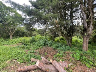 Venta de terreno en Altos de San Vicente | Carretera a El Salvador - 3