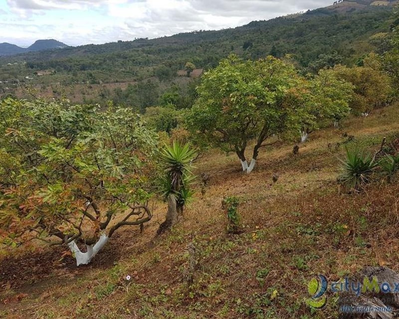 Terreno en Venta de 2.6 manzanas en San Vicente Pacaya
