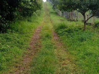 Terreno en VENTA en  Km. 46.5 Villa Canales, - Image 2