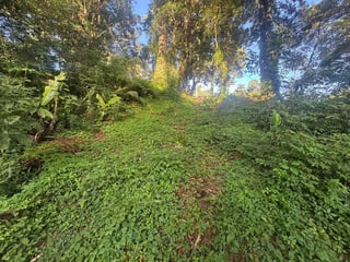 TERRENO EN VENTA EN SANTA ROSALIA - 4