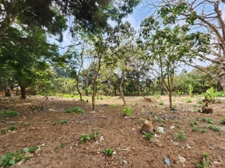 Terreno Comercial en Renta Ruta Interamericana Sn Lucas - 2