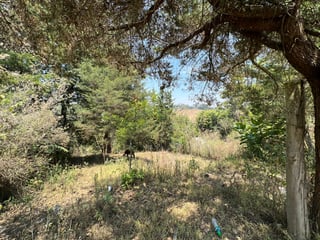 Terreno en venta, en Sumpango - 5