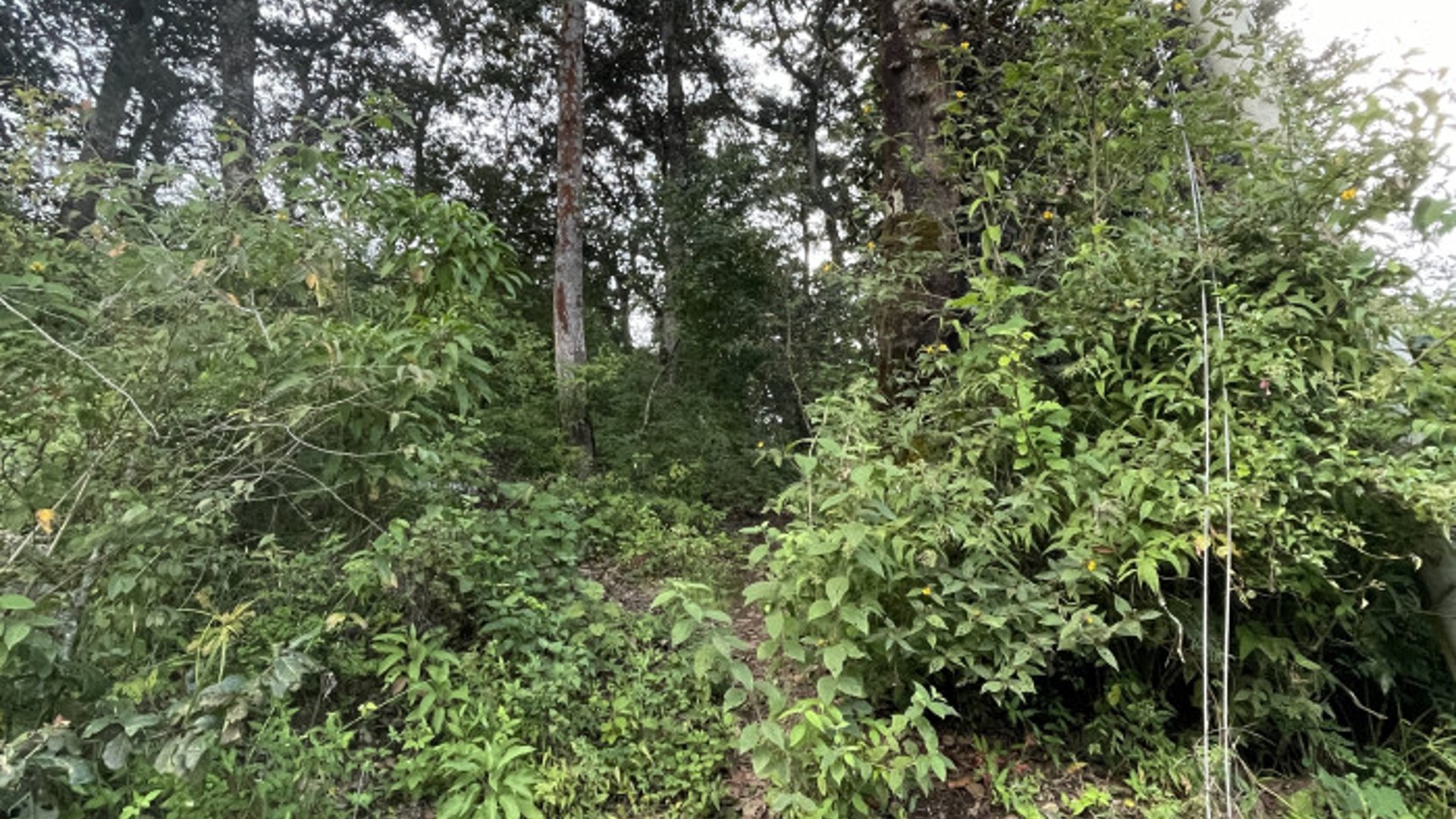 Terreno en venta en Aldea Chichorin San Lucas - Miniatura 13