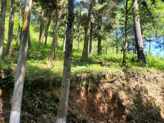 Rancho Verde Fraijanes Lote en venta - 4