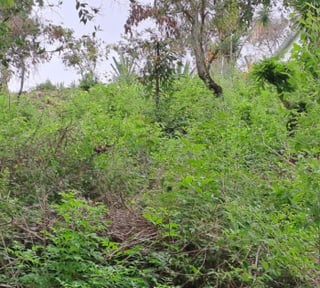 Terreno en venta en San Antonio la Paz el Progreso - Miniatura 9