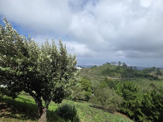 Exclusivo Terreno en venta El Pulté zona 16 Guatemala - 4