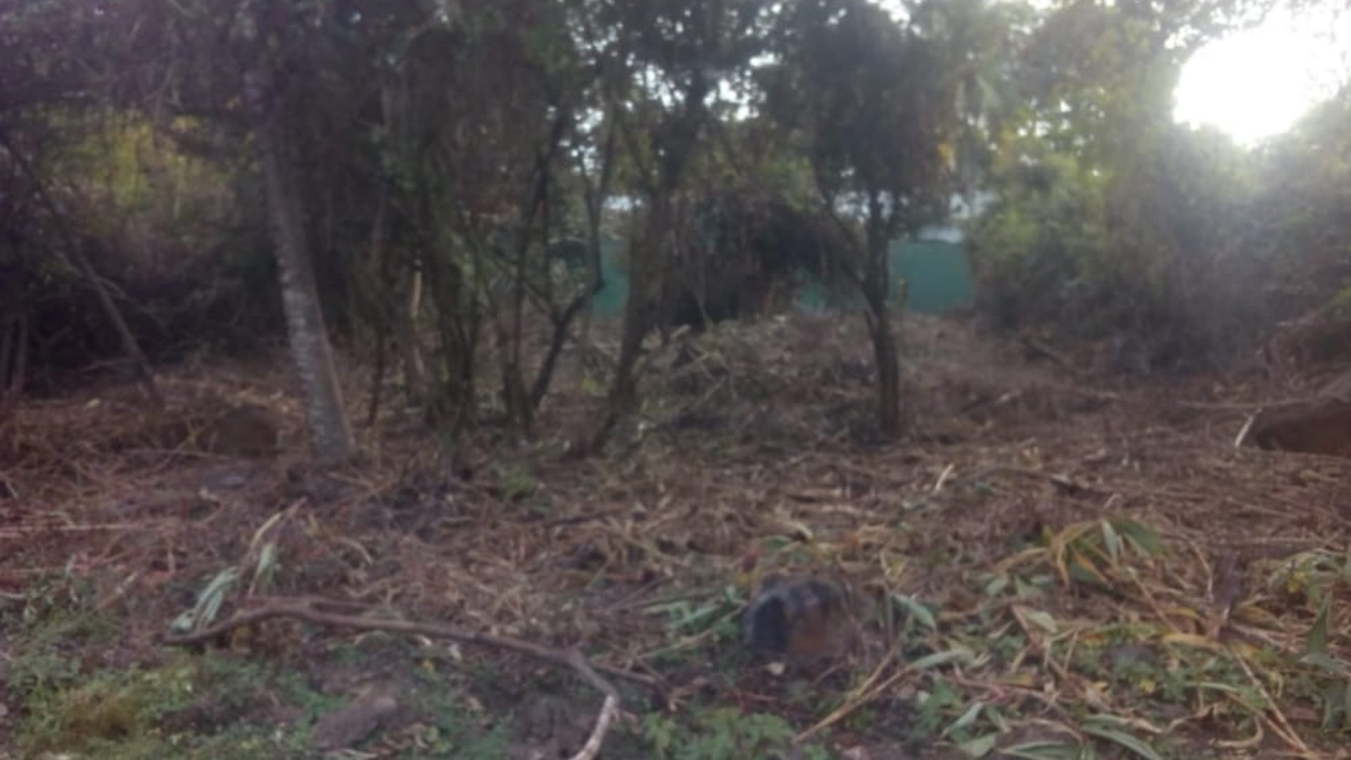 Terreno en venta en Cataratas de Uxmel Carr. a Puerto Quetzal - Miniatura 6