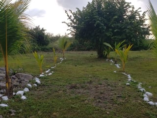 Quintas la Ponderosa lote en venta km 77 Escuintla - 2