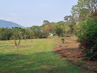 Terreno en ALQUILER entre Palin y Amatitlan - 3