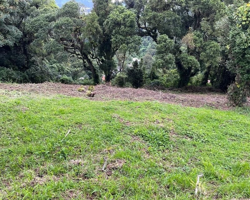 TERRAVISTA/ Terreno en Venta, CES