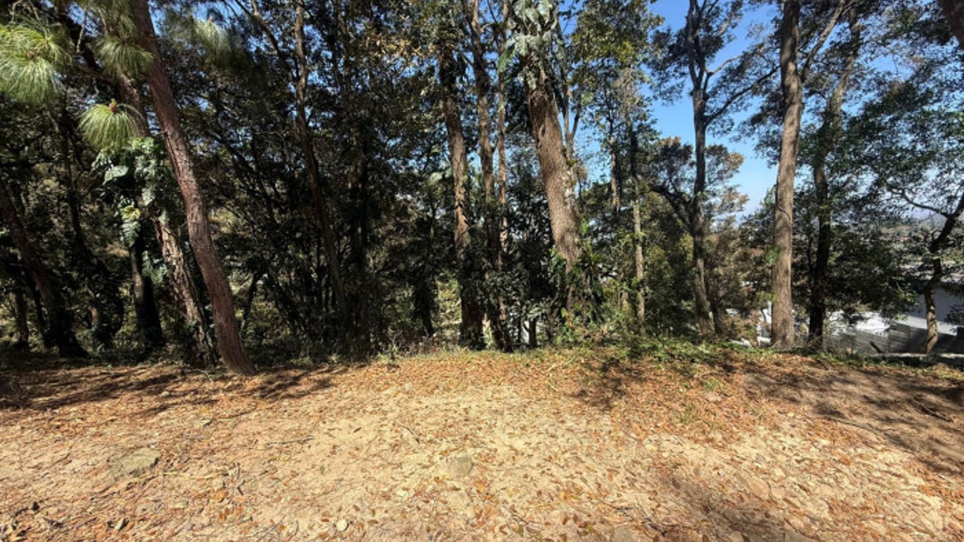 Terreno en Venta en Zona 16 Las Cumbres - Miniatura 4
