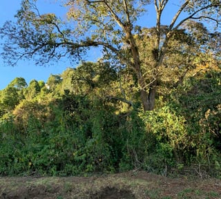 *Vendo terreno en Colinas de Castel | Km 20.5 Carr. a Fraijanes* (C)