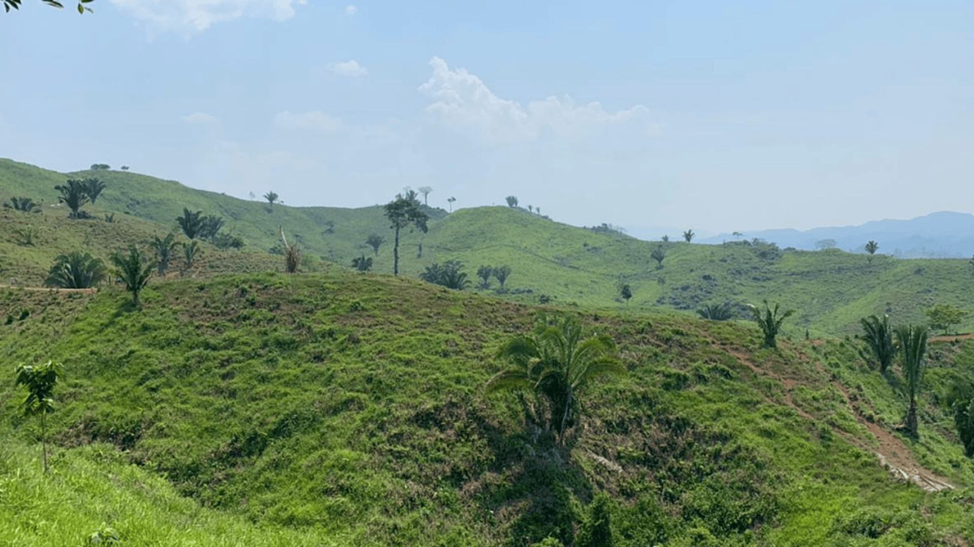 Finca en VENTA en Municipio Nuevo Chahal, Alta Verapaz - Miniatura 5