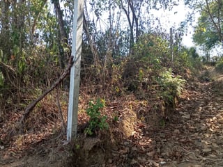 Vendo Terreno ruta a Santiago Sact.  Finca Chiximoy - 3
