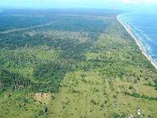 Finca Rustica en venta a la orilla de la Bahia La Graciosa - 2