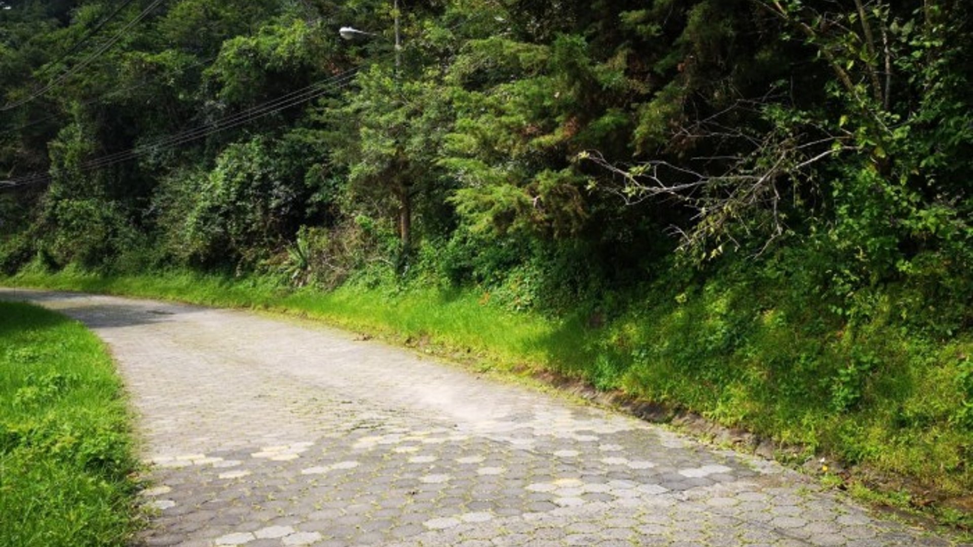 Terreno en Venta El Encinal Mixco - Miniatura 2