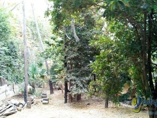 TERRENO EN VENTA EN SAN AGUSTIN ACASAGUASTLAN - 2