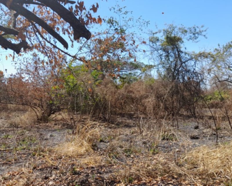 Terreno en Venta Quintas Malibú, Escuintla, Guatemala