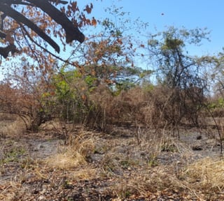 Terreno en Venta Quintas Malibú, Escuintla, Guatemala