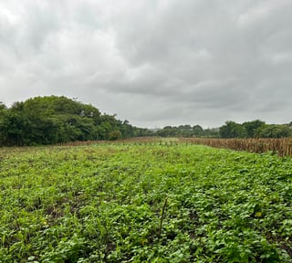 Terreno en Venta en El Jocotillo, Villa Canales