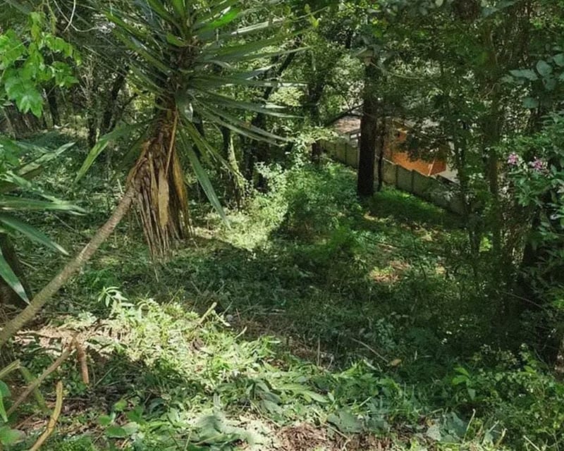 Terreno en Venta en Los Encinos1 km 26 carretera a San Lucas