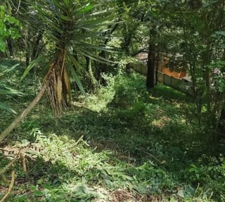 Terreno en Venta en Los Encinos1 km 26 carretera a San Lucas