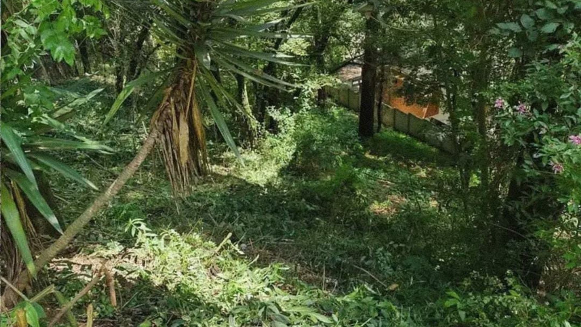 Terreno en Venta en Los Encinos1 km 26 carretera a San Lucas